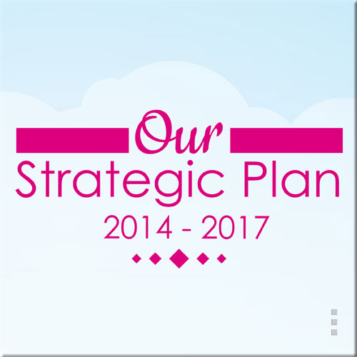 Our Strategic Plan 2014 - 2017