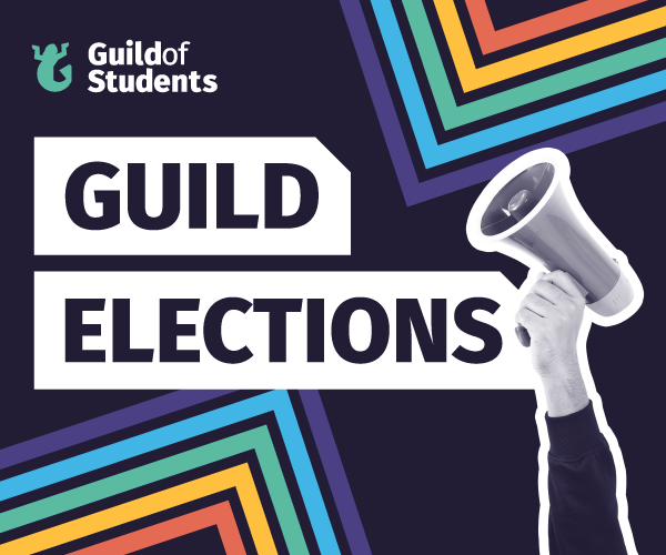 Guild Elections