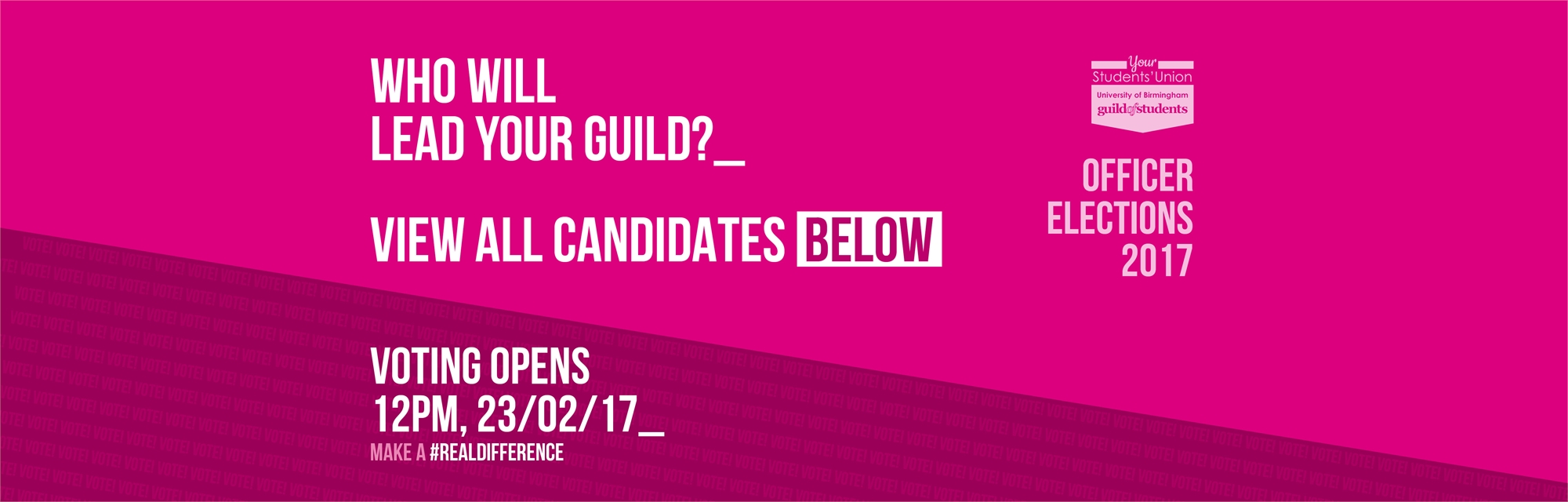 Guild Elections - View all your candidates here from 16/02/16