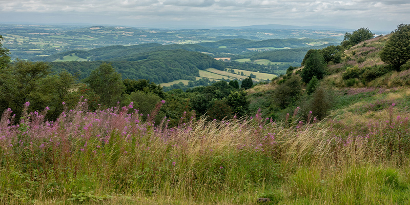 a photo of a landscape