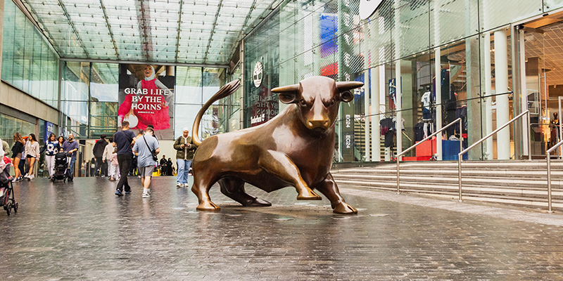 a photo of the bull in the bullring